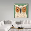 Trademark Fine Art Ryan Fowler 'White Owl' Canvas Art, 14x14 WAP06283-C1414GG